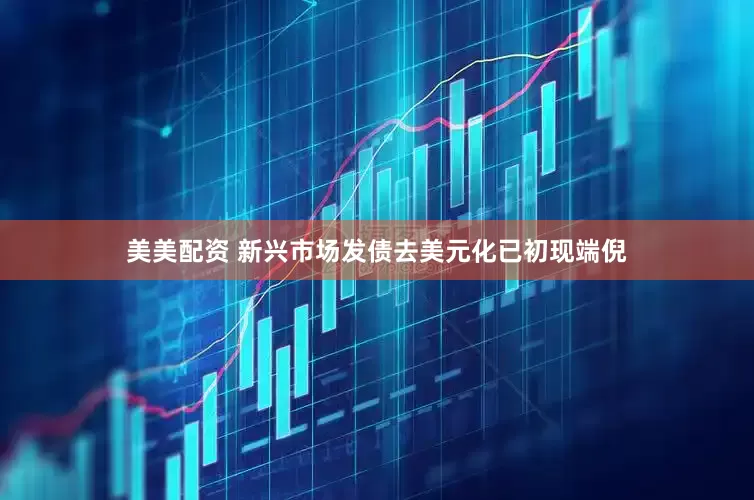 美美配资 新兴市场发债去美元化已初现端倪
