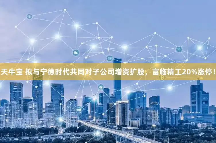 天牛宝 拟与宁德时代共同对子公司增资扩股，富临精工20%涨停！
