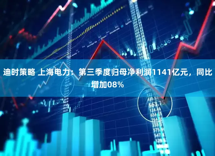 迪时策略 上海电力：第三季度归母净利润1141亿元，同比增加08%